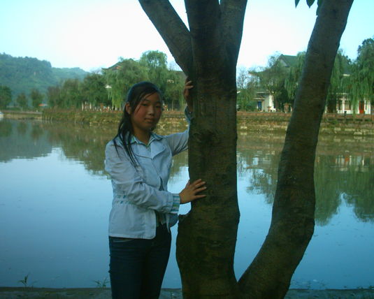 2006  (87)